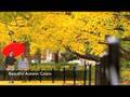 Three Australian Bush Songs - Ole Miss Concert Singers