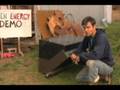 Compact Gasifier