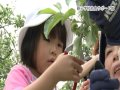 おやべランド『親子学校給食サポート隊』2011年６月５日（日）