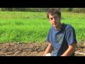 Vegetable Gardening : How to Grow Green Peppers