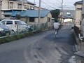 ママチャリ　ウイリー