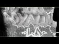 clip video Carpe Diem Dans mon royaume