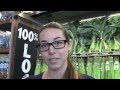 GreenWheel Food Hub: Making it SNAPPY!