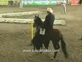 Comodoro de La Alquería ( Relicario FC x Carrilera )