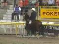 Comodoro de La Alquería ( Relicario FC x Carrilera )