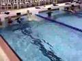 videos de Coach Suzanne