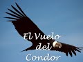 Vuelo del condor Cañon del Colca