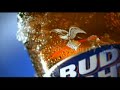 [Video]
