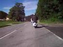 Vespa VN und Sprint Gespann in den Alpen