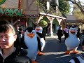 Madagascar Dancing Pinguins Madagascar Dancing Pinguins