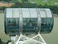 Singapore Flayer by nurul