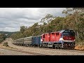 Trains @ Kilmore East 8/11/08