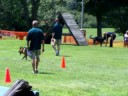 CT police k9 olympics
