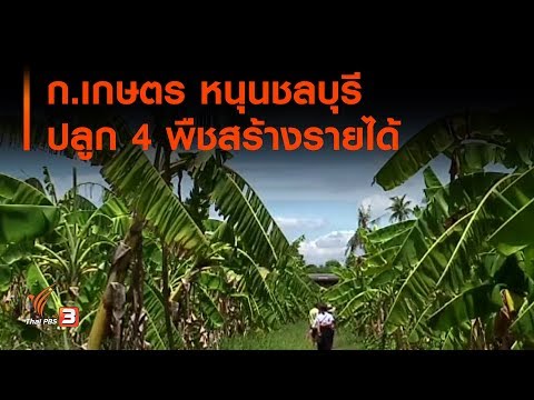 ก.เกษตร หนุนชลบุรีปลูก 4 พืชสร้างรายได้