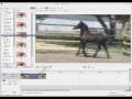 [*[TUTORIAL]*] Widescreen - Sony Vegas 8.0