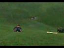 Lawnboarding