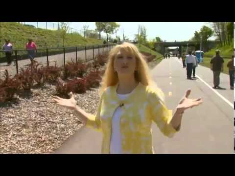 Discover the 'D' - Episode 826