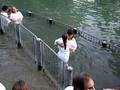 videos de Lindsay baptized by Pastor Terry in the Jordan River