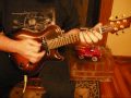 Mann SEM 5 Electric Mandolin