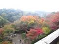 晴晴古都紅葉旅(京都) - Day 2