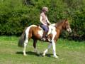 raen,schoolmistress type.14.1-14.2hh what a stunner!