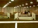 pops shannon horse show empires