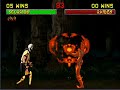 sub zero and scorpion fatalities 2