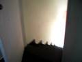 videos de HEITOR NERIS CARMONA BERNARDO 4