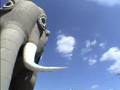 Hometown Tales- Lucy the Elephant