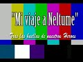 neltume la historia oculta