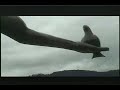 neltume la historia oculta