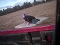 New Mattress surfing Video With Jump