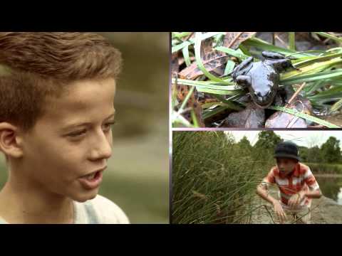 Earth Rangers: Bring Back the Wild conservation project