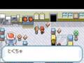 ポケモン大改造ver10