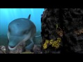 HQ - O Golfinho, A Historia de um Sonhador - Trailer de lançamento