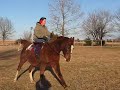 Sidesaddle--Baron and Anne