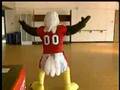 Tryouts for new EWU Mascot