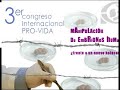 memoria video provida 2007