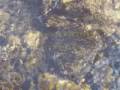 videos de THERE IS A SOURCE FOR EACH RIVER by Alan Casline