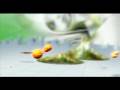 New Xbox Experience Intro Video - Xbox 360 NXE