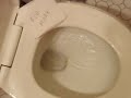 My toilet flushing My toilet flushing