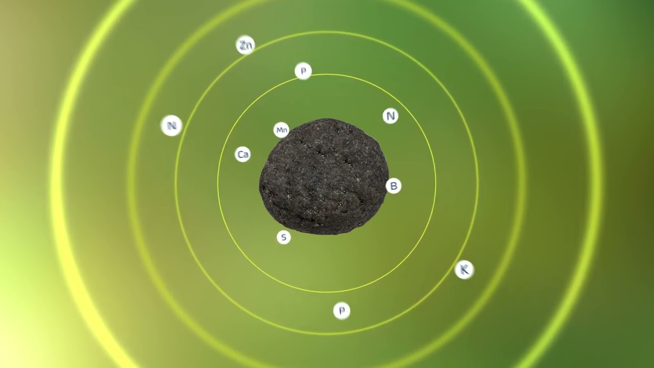 Conheça o YaraBasa FULL