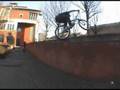videos de Damon watson video 5