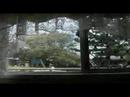 Bird hits window 3 times and comes back for more! Bird hits window 3 times and comes back for more!