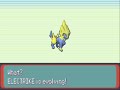 Pokemon Emerald Episode 92 Battle Frontier Exploring