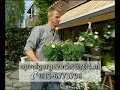 Promo Opvolger Gezocht Promo Opvolger Gezocht