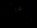 MY CAT IS EVIL PART 2