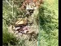 ma basse cour 2 ma basse cour 2