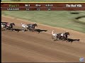 Somebeachsomewhere - Tattersalls