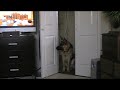 Brodie gets curious during Family Guy